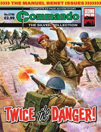 Cover of Twice the Danger