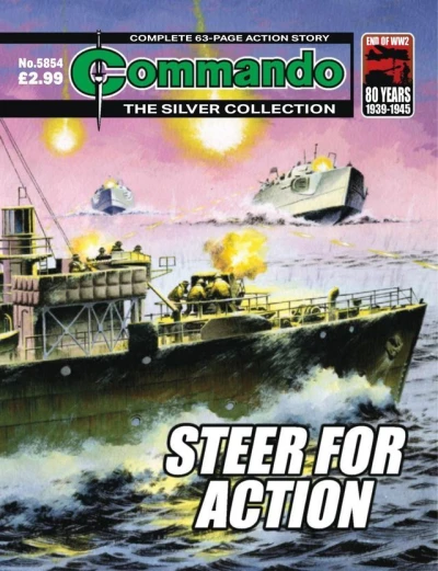 Cover of Steer Into Danger