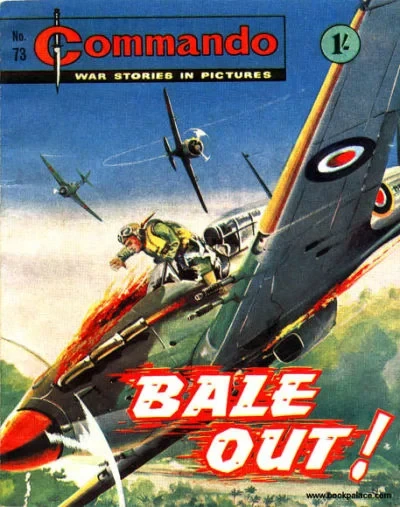 Cover of Bale Out!