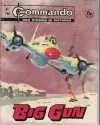 Cover of Big Gun
