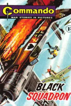 Black Squadron