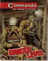 Cover of Danger Level