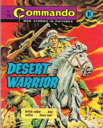 Cover of Desert Warrior