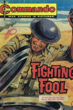 Fighting Fool