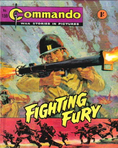 Cover of Fighting Fury