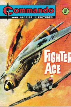Fighter Ace