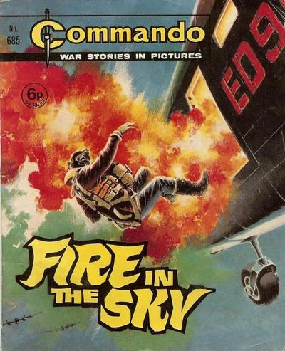 Cover of Fire in the Sky