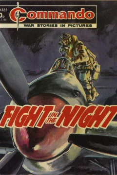 Fight In The Night