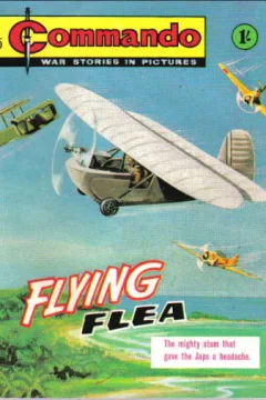 Flying Flea