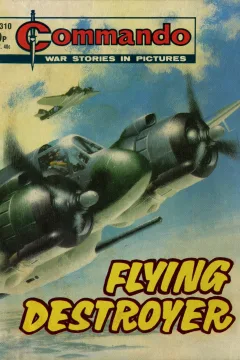 Flying Destroyer