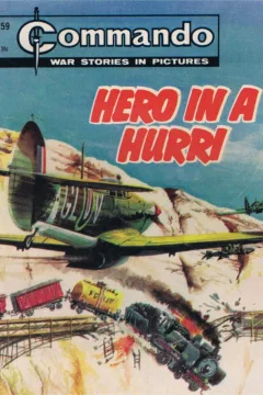 Hero In A Hurri