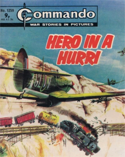 Cover of Hero In A Hurri