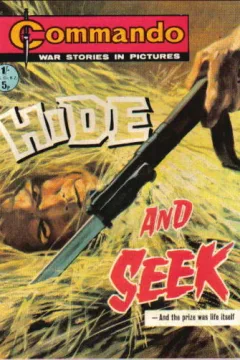 Hide and Seek