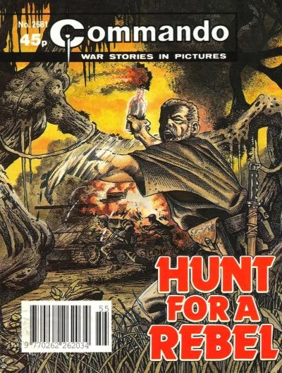 Cover of Hunt For A Rebel
