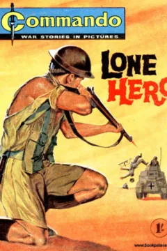 Lone Hero