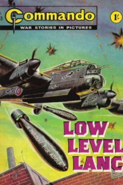 Low Level Lanc