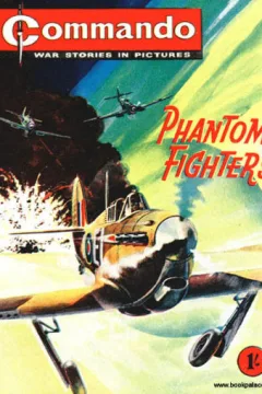 Phantom Fighters