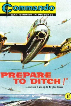 Prepare To Ditch