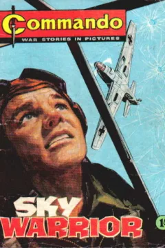 Sky Warrior