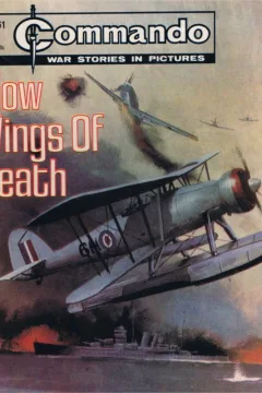 Slow Wings Of Death