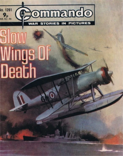 Cover of Slow Wings Of Death