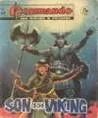 Cover of Son of the Viking