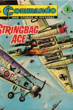 Stringbag Ace
