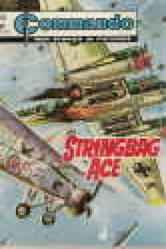 Stringbag Ace