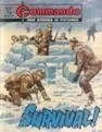 Cover of Survival!