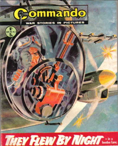 Cover of They Flew By Night