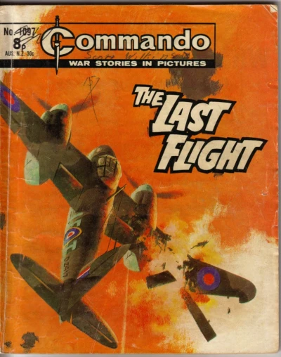 Cover of The Last Flight
