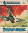 Cover of Typhoon Attack