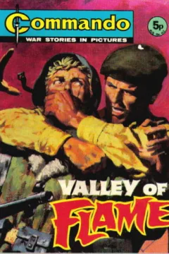 Valley of Flame