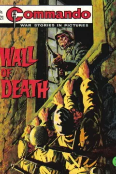 Wall of Death