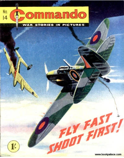 Cover of Fly Fast Shoot First!