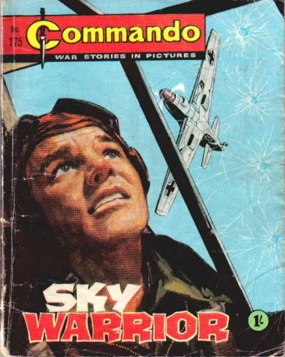 Cover of Sky Warrior