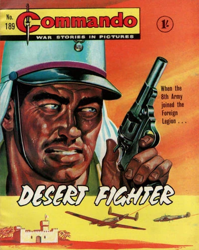 Cover of Desert Fighter