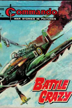Issue #1035