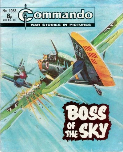 Cover of Boss Of The Sky