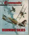 Cover of Issue #1116