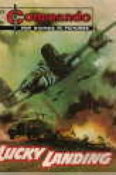 Issue #1129