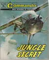 Cover of Issue #1213