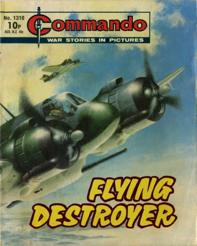 Cover of Flying Destroyer