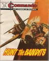 Cover of Hunt the Bandits