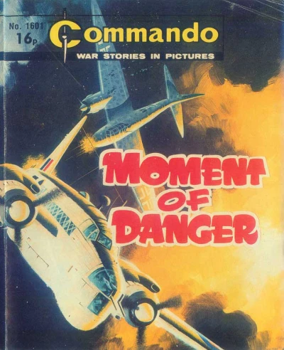Cover of Moment of Danger