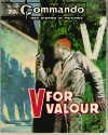 Cover of V for Valour