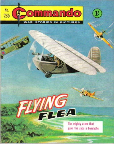 Cover of Flying Flea