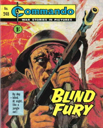 Cover of Blind Fury