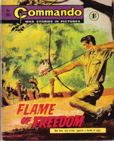 Cover of Flame of Freedom