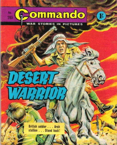 Cover of Desert Warrior